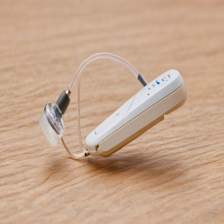 hearing aid